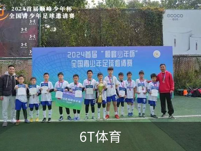 了解6T体育